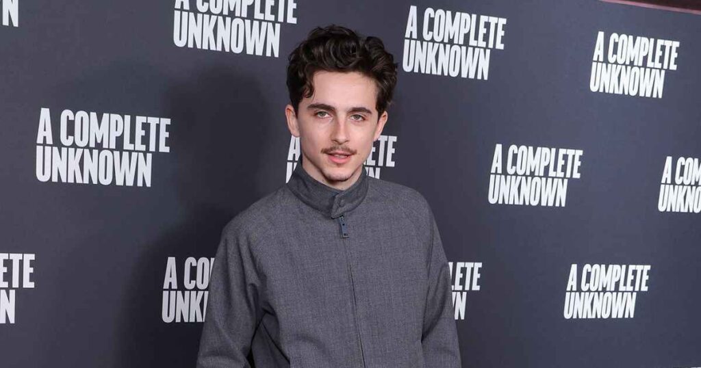 Timothee Chalamet’s Best Red Carpet Fashion: Pics