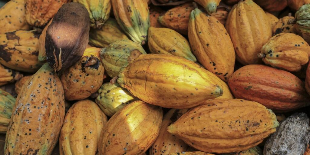 Cocoa caps 2024 as biggest commodity winner. It’s not over yet