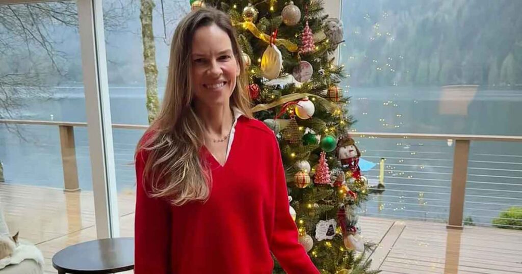 Hilary Swank Poses With 1 of Her Twins in Festive Holiday Photo