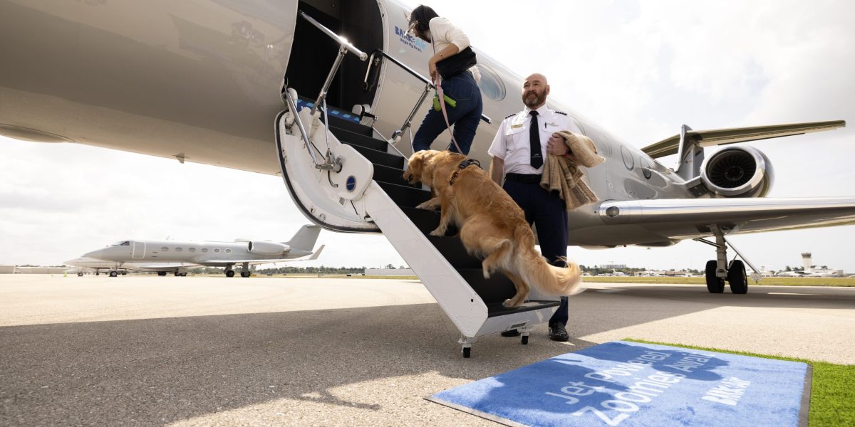 Bark Air, the high-end airline for dogs, is offering limited flights for one-eighth the normal cost