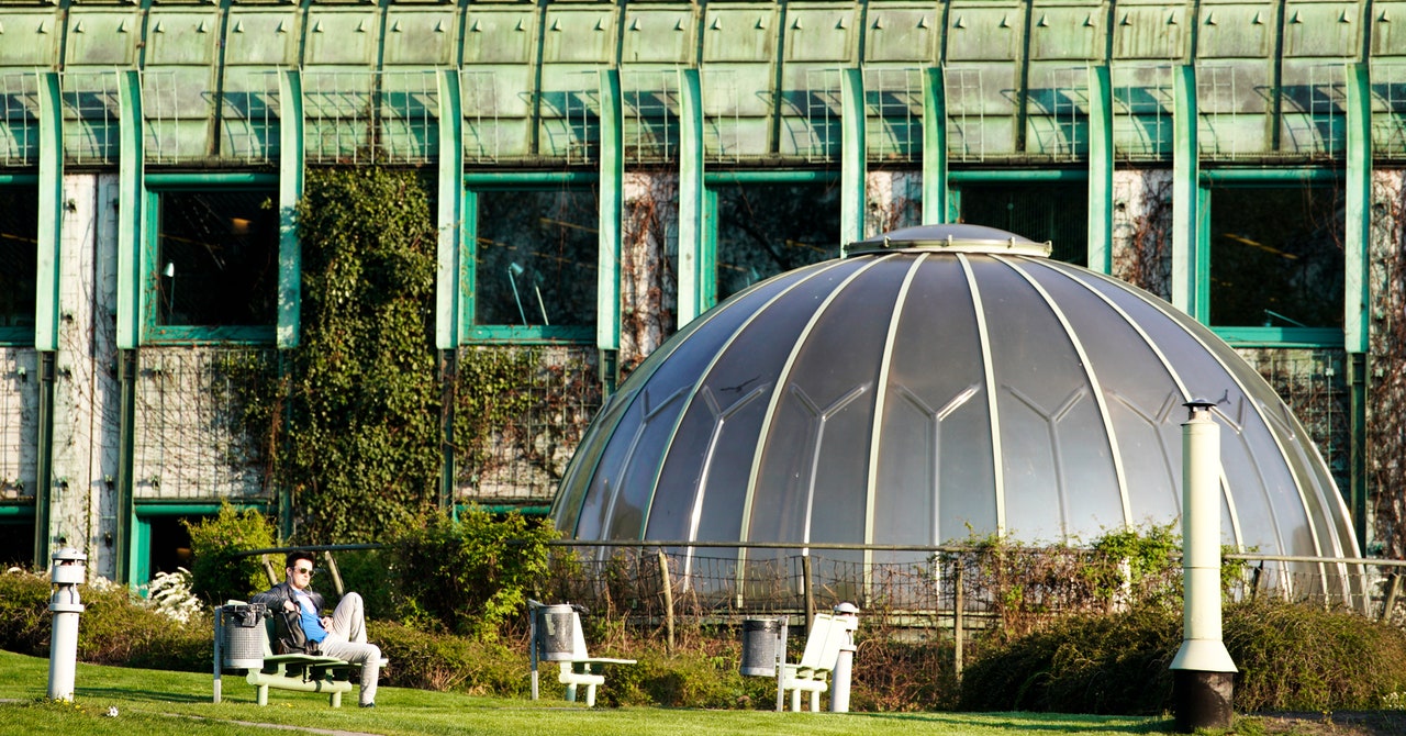 Europe's Most Innovative Library Has a Botanical Garden on the Roof