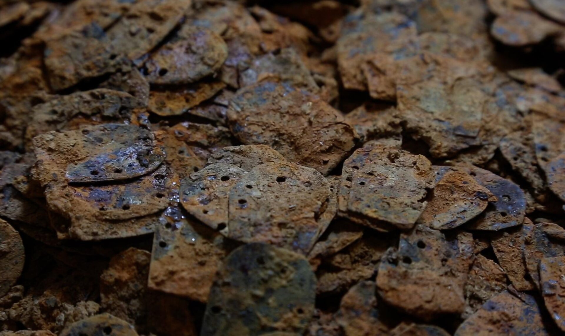 A closeup of the armor scales.