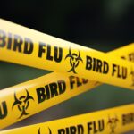 Michigan counties report additional bird flu outbreaks