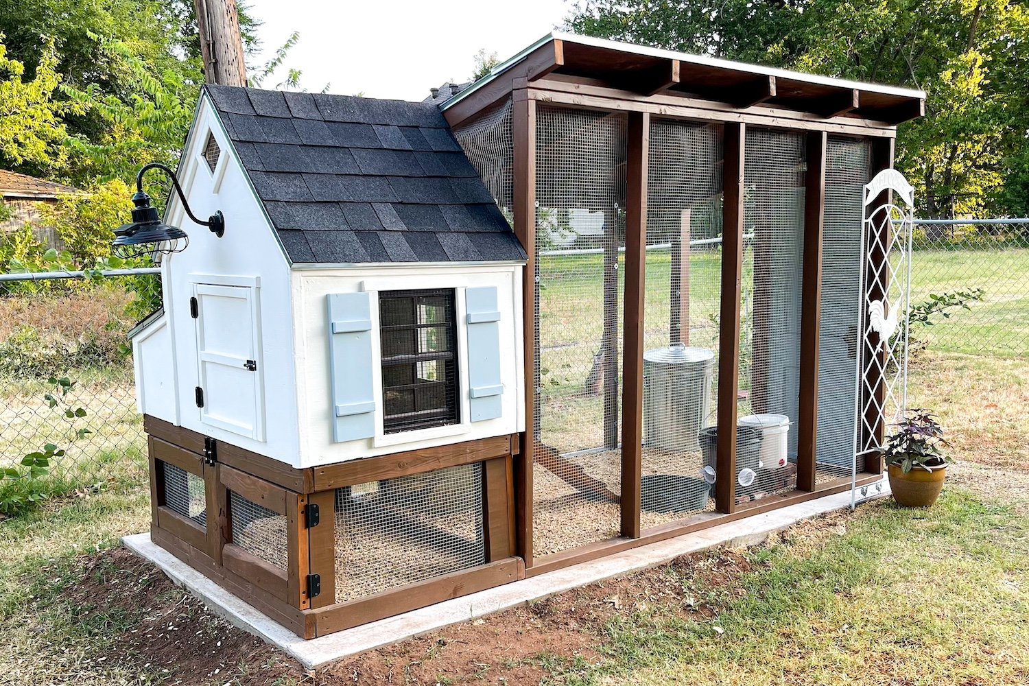 Backyard bird coop