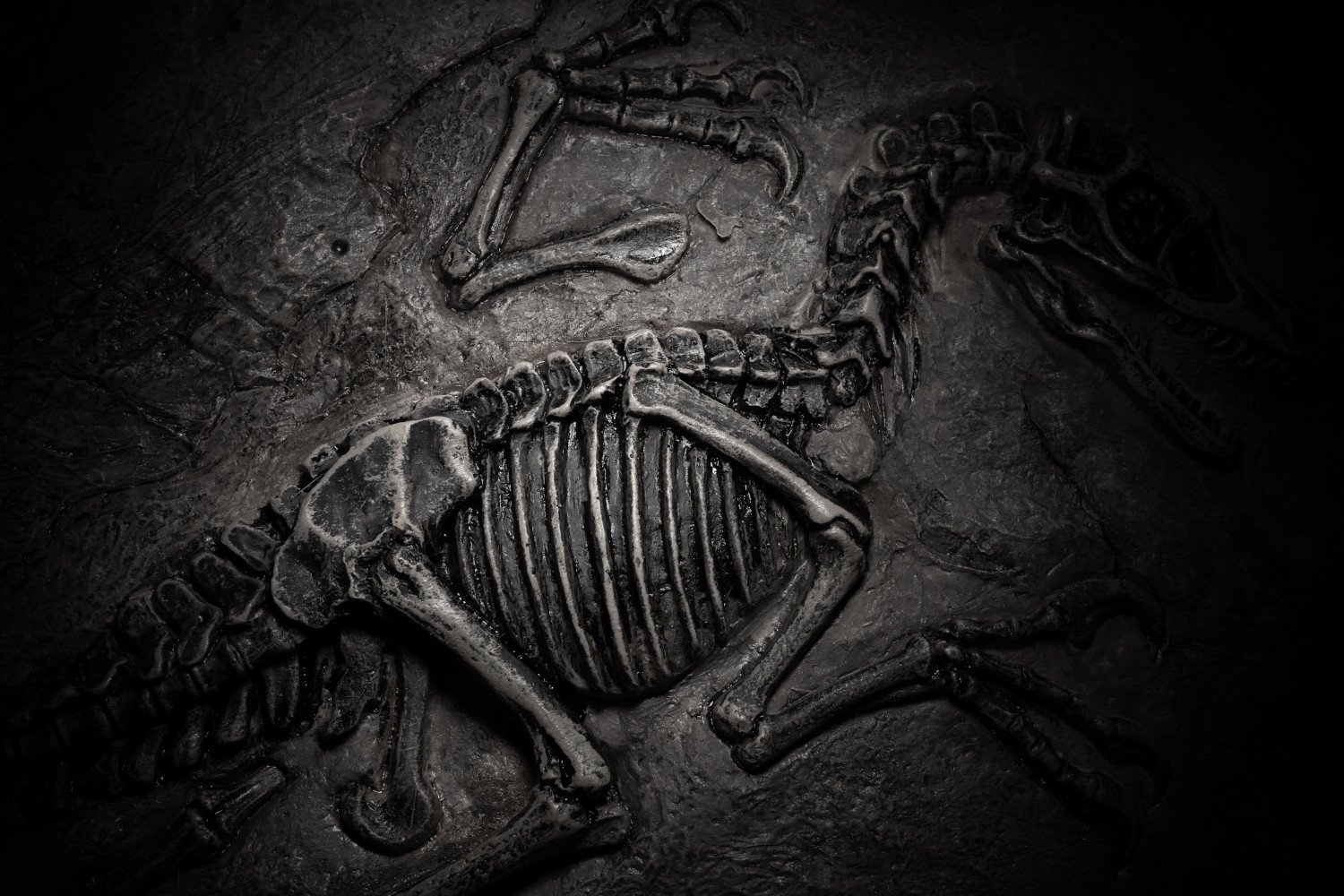 New research casts serious doubts on an alternative theory of dinosaur extinction.