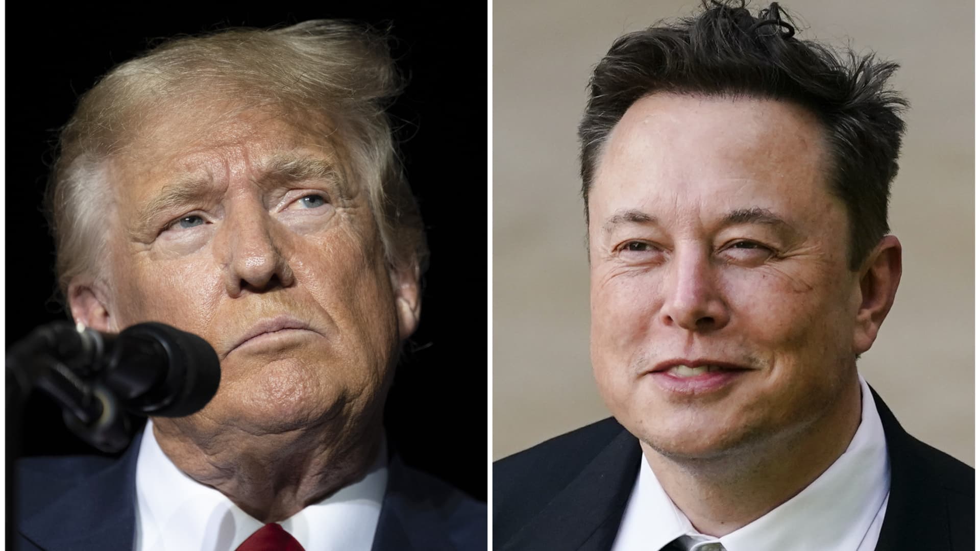 Musk undercuts Trump's Stargate AI investment announcement