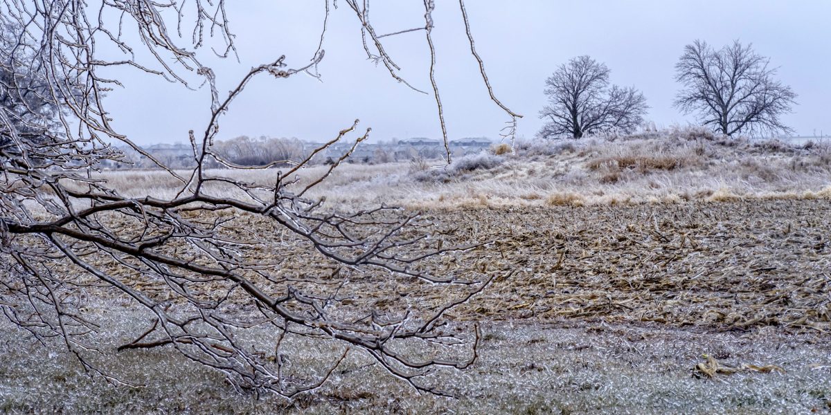 Experts say extreme winter conditions are exerting pressure on agriculture ‘in ways we haven’t seen for a very, very long time’