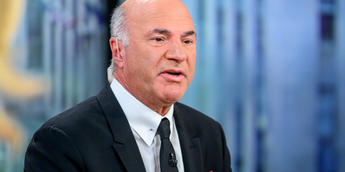 Frank McCourt and Kevin O'Leary formally offer to buy TikTok after securing investors, debt financing, and a go-ahead from the White House