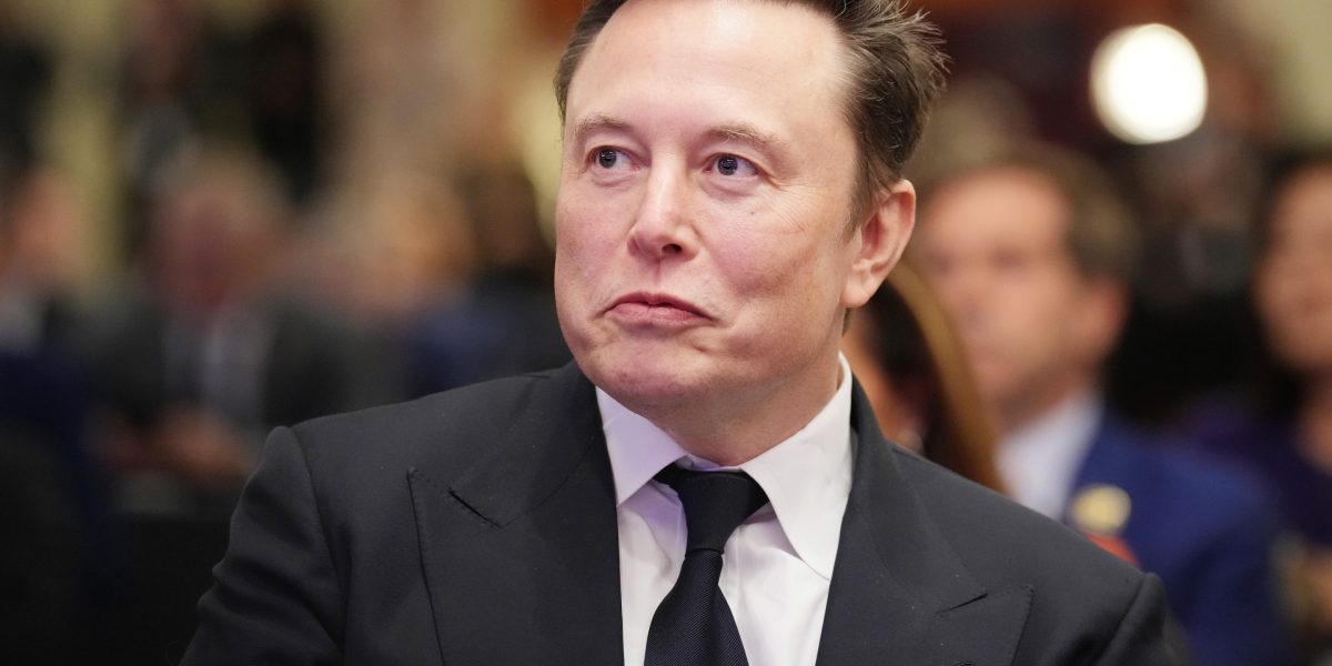 Elon Musk accused of trying to weaken Europe with support for far-right AfD party