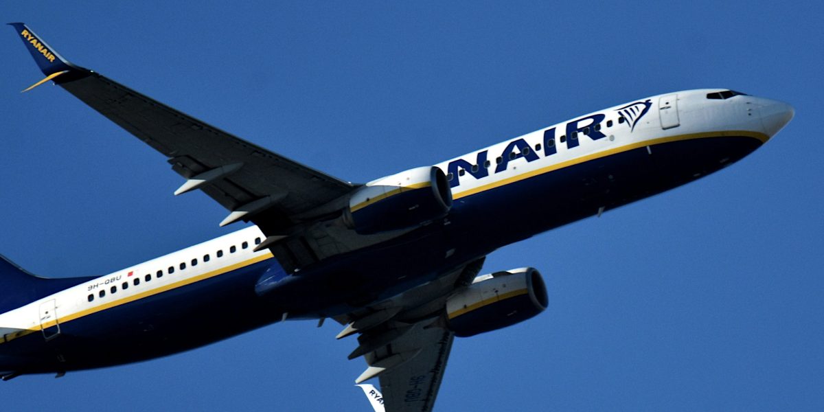 Ryanair is suing a passenger who was so disruptive on a flight he forced the plane to land over 1,000 miles away from its destination