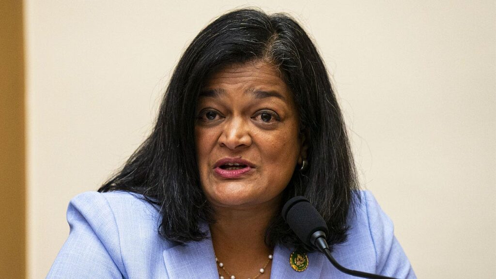 Democratic Rep. Jayapal for blaming 'corporations' for LA wildfires