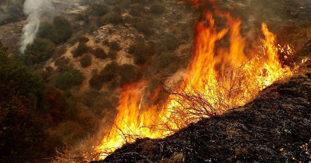 Wildfire Smoke Is Even More Dangerous Than Anyone Knew