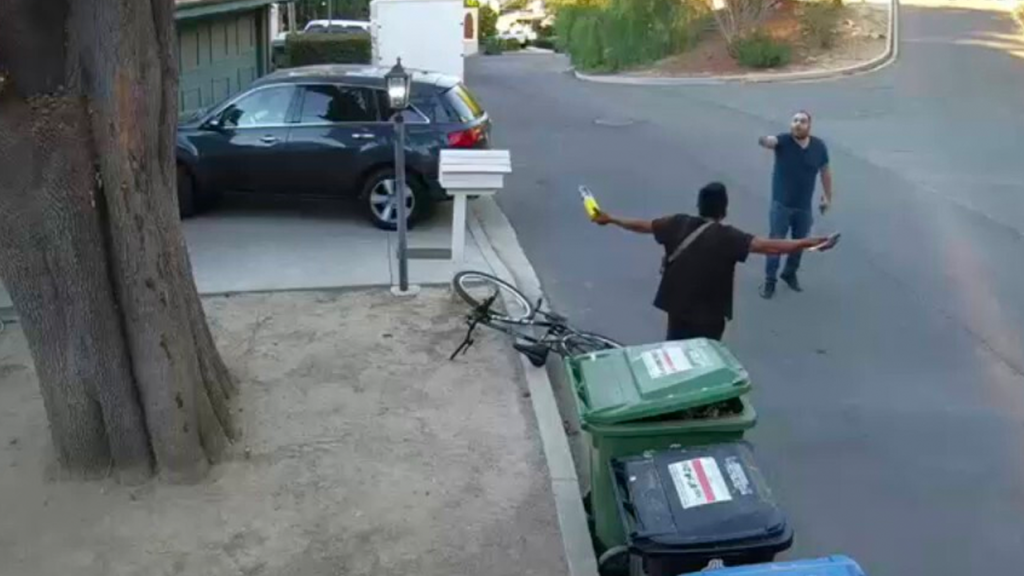 Los Angeles homeowners confront man with torch as wildfires rage: video