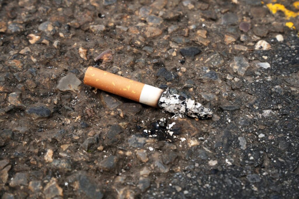 Cigarette Butt