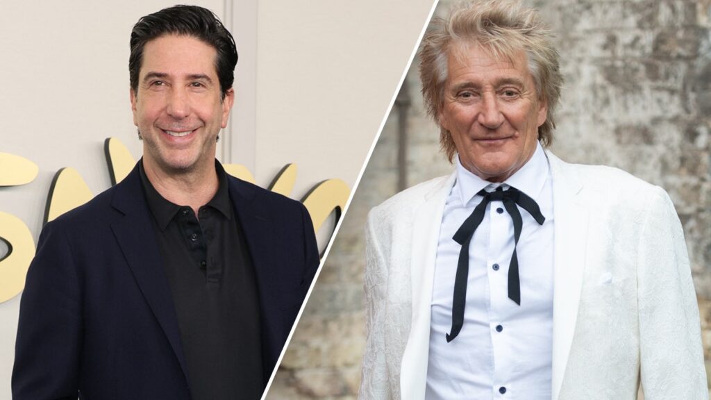 'Friends' star David Schwimmer served Rod Stewart with divorce papers