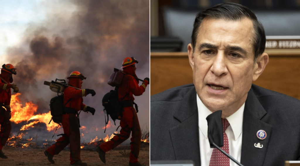 'We can’t wait': Issa fights back against 'green tape' regulations impacting firefighters