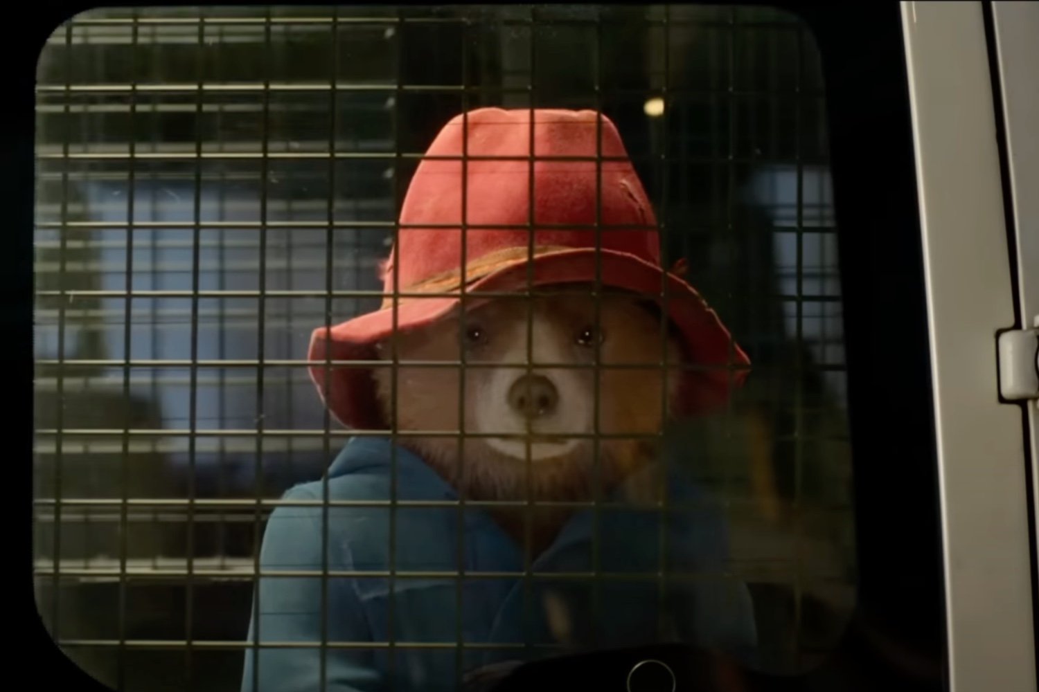 Paddingtoncage