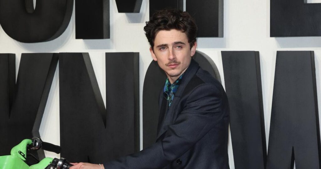 Timothee Chalamet Fined $79 After Riding Bike to London Premiere