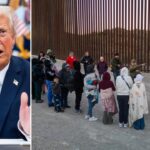 Border encounters drop sharply as Trump launches crackdown on illegal immigration