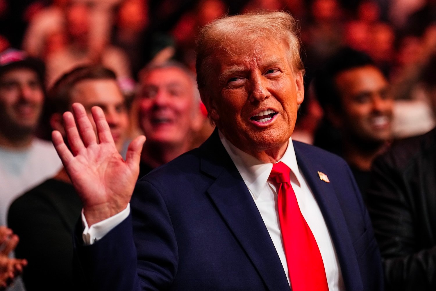 President-elect Donald Trump looks on during the UFC 309 event at Madison Square Garden on November 16, 2024 in New York City.