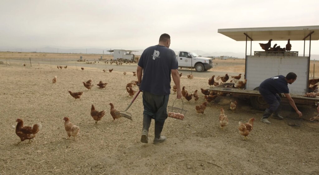 Central California county jail saving taxpayers over $1M with inmate farm