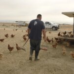 Central California county jail saving taxpayers over $1M with inmate farm