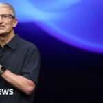 Apple boss Tim Cook says DEI programmes may have to change