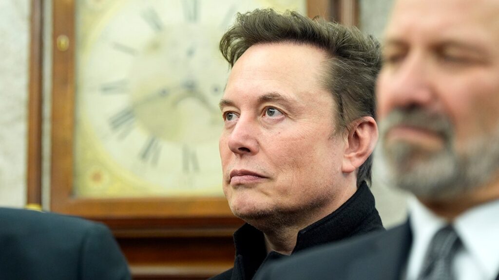 Federal judge skeptical of states' arguments against Elon Musk and DOGE