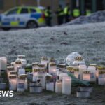 Sweden plans tighter gun laws after Orebro school shooting