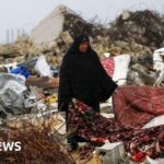 Egypt to present 'vision' to rebuild Gaza without displacement