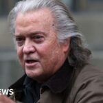 Steve Bannon pleads guilty in border wall case and avoids jail time