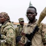 UK suspension of aid over DR Congo war is 'punitive'