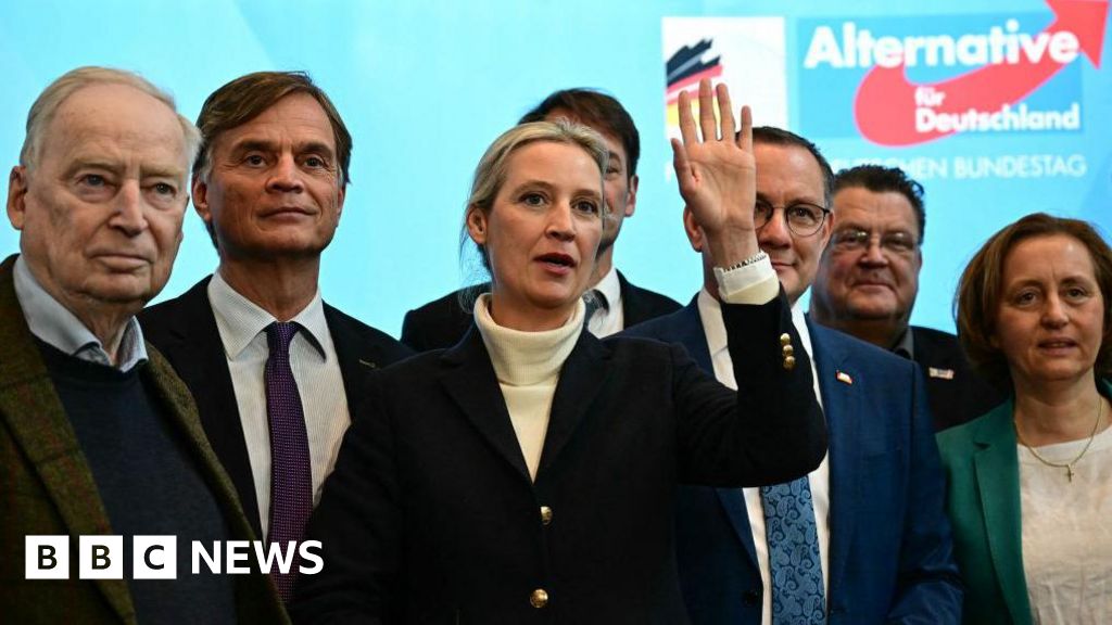 Has Germany's 'firewall' against the far right been breached by AfD success?