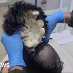 Man busted trying to smuggle drugs under toupee in Colombia