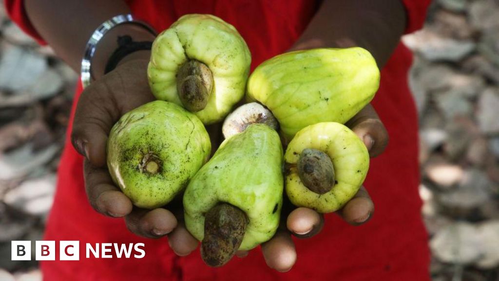 Ghana wants more for its cashews, but it's a tough nut to crack