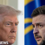 Zelensky to meet Trump in Washington to sign minerals deal