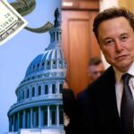 Elon Musk tensions spill over among House GOP: 'Fed to the wolves'