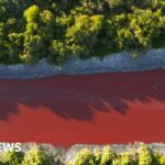 Argentina canal on outskirts of Buenos Aires turns bright red