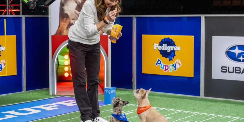 Victoria Schade has the best job in the world: Lead puppy wrangler for the ‘Puppy Bowl’