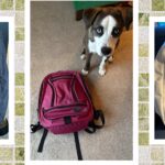 Best Laptop Backpacks We've Tried and Tested (2025)