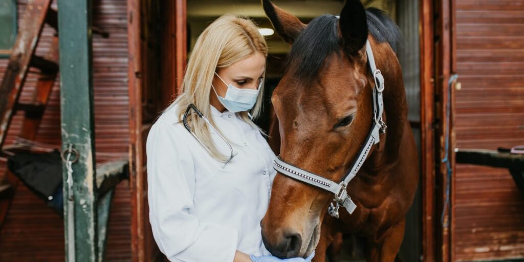 Meet the 56-year-old veterinarian who walked away from a 6-figure salary in the prime of her career because corporate ownership drove her to the nonprofit world