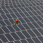 Man inspecting solar panels.