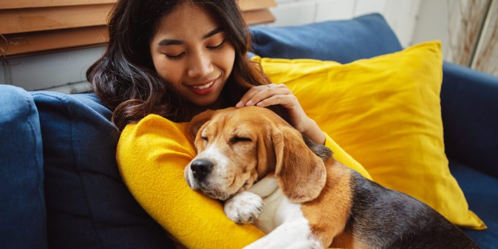 Scientists have found the perfect tactic to grab your dog’s attention. Hint: it’s all in the gaze