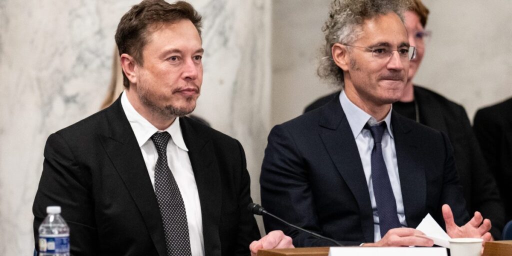 Palantir may be the stock pick for the DOGE era as it leads the AI revolution while Musk plows through government agencies