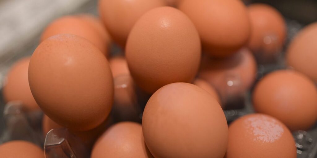 U.S. eggs prices hit an all-time record of $4.95, and relief is not expected any time soon