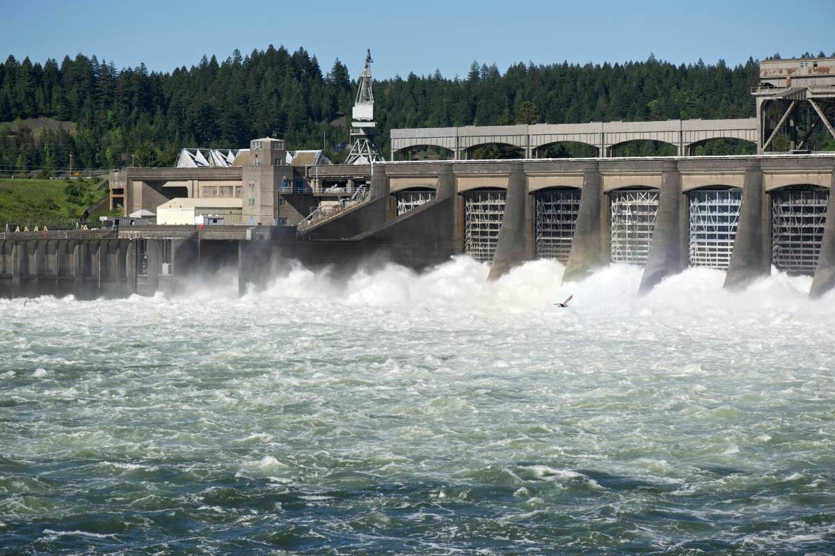 Water flows through the spillway at the Bonneville Dam.