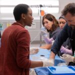 How Noah Wyle's The Pitt Made Extensive Efforts to Be Medically Accurate