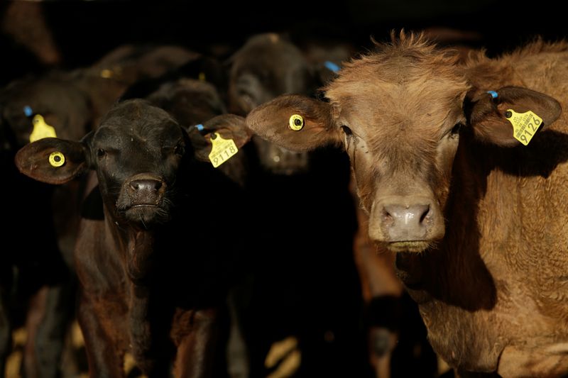 US will allow Mexican beef imports to resume, says Mexican minister