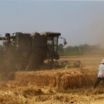 China announces rural revitalisation plans in annual policy blueprint