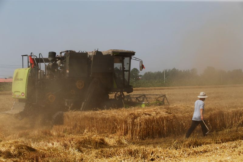 China announces rural revitalisation plans in annual policy blueprint